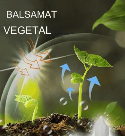 🎁【Compre 3, obtén 3 gratis】🌱🌱 Solución líquida que activa plantas y flores