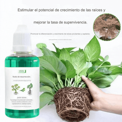 🎁【Compre 3, obtén 3 gratis】🌱🌱 Solución líquida que activa plantas y flores