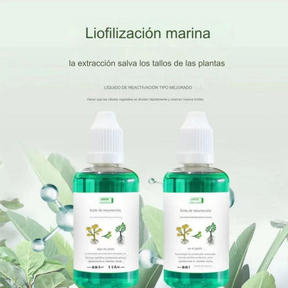 🎁【Compre 3, obtén 3 gratis】🌱🌱 Solución líquida que activa plantas y flores